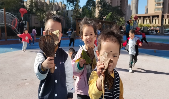 QQ图片20201119092402