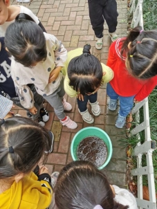 10.14第二次翻地＋种菜IMG_20211014_100430