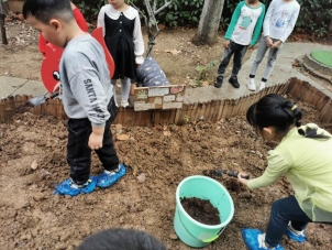 10.14第二次翻地＋种菜IMG_20211014_100822