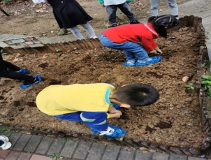 10.14第二次翻地＋种菜IMG_20211014_101140
