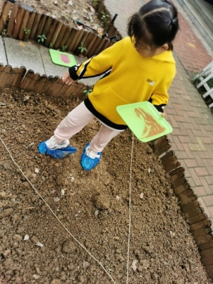 10.14第二次翻地＋种菜IMG_20211014_102358