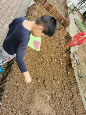 10.14第二次翻地＋种菜IMG_20211014_102532