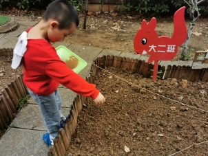 10.14第二次翻地＋种菜IMG_20211014_102647