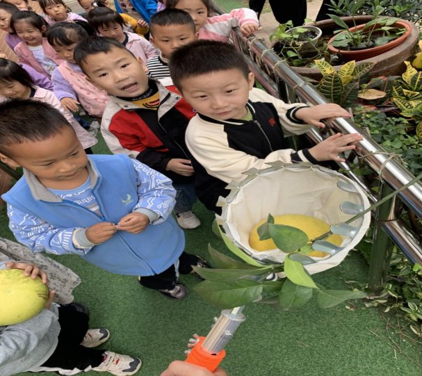 QQ图片20211108123721