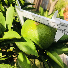 IMG_6636(20190925-001301).jpg