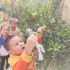 IMG_7157(20191009-080637).jpg