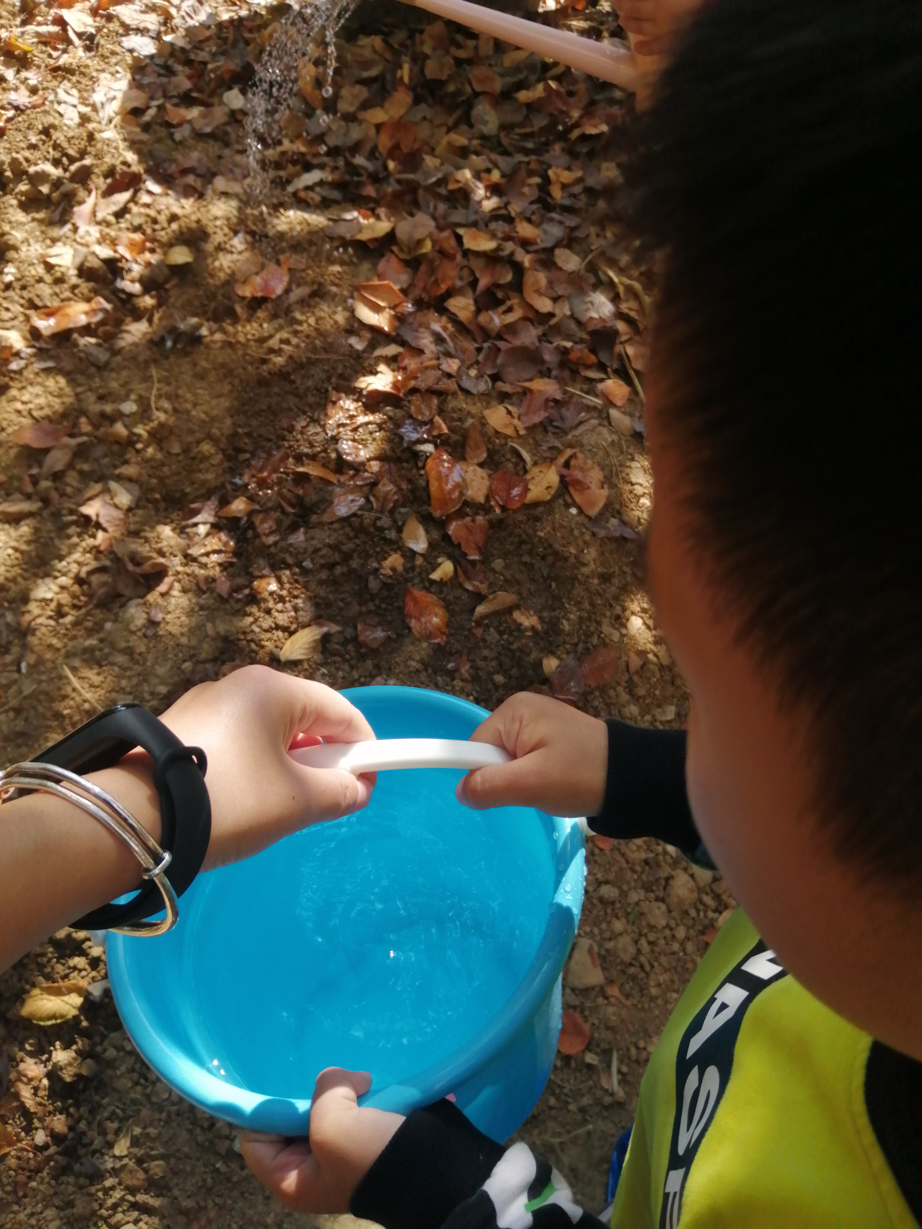 IMG_20201012_101242.jpg
